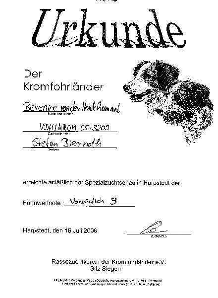 Urkunde V3 Harpstedt 200602