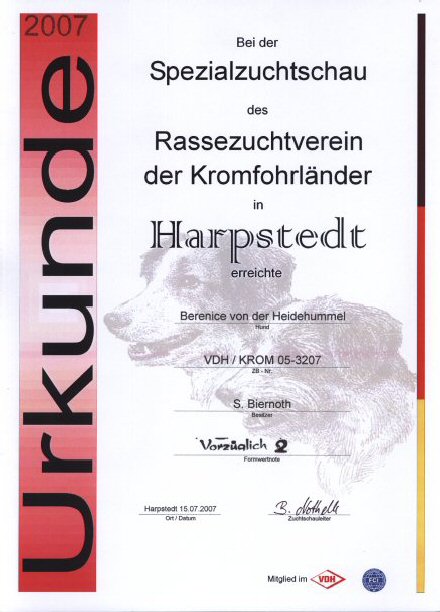 Urkunde V2 Harpstedt 2007071502