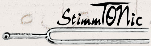 stimmtonic-banner